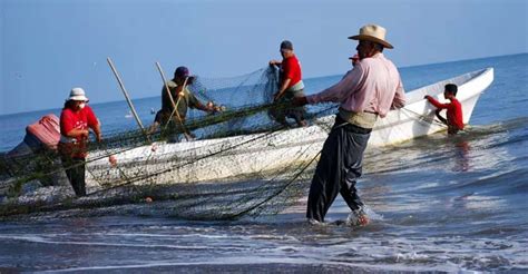 Pescaconfuturo La Iniciativa Que Fomenta La Pesca Sustentable