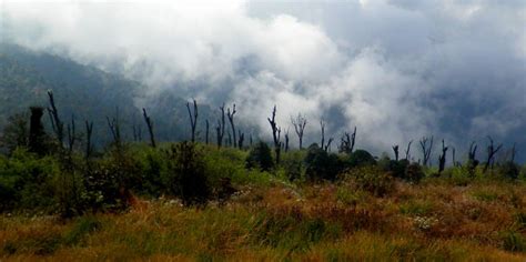 Into A Land Less Traveled Trekking Through Maenam Wildlife Sanctuary