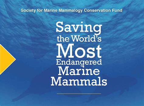 Smm Marine Mammal Conservation Fund Brochure Society For Marine Mammalogy