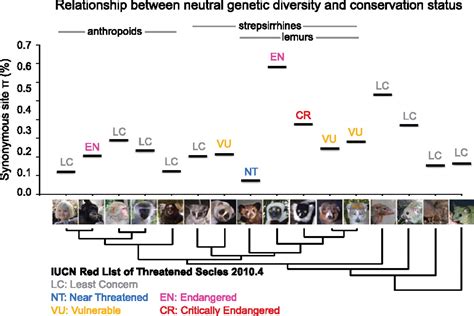 Comparative Rna Sequencing Reveals Substantial Genetic Variation In
