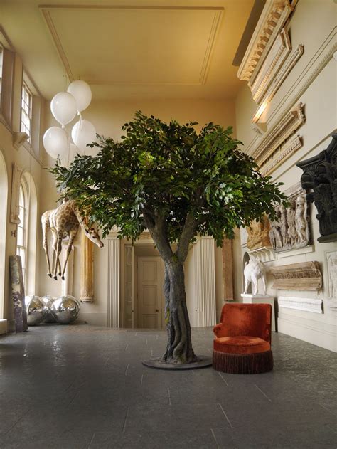 Indoor Large Tree Hire From Vowed And Amazed Natural