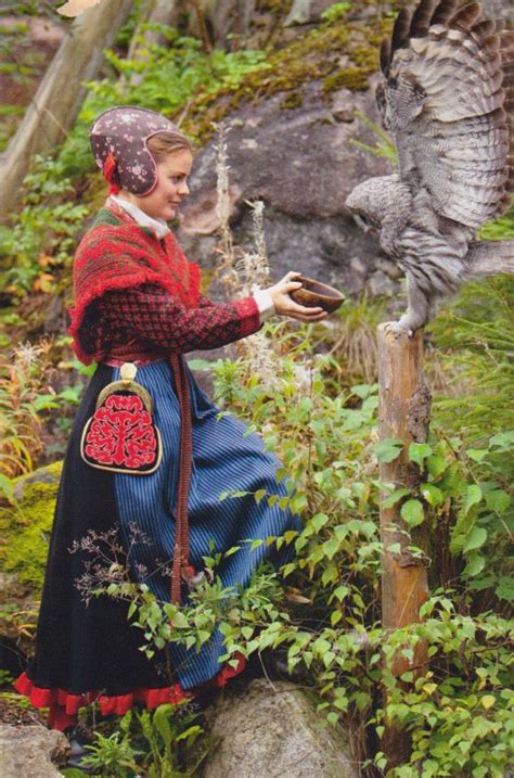 Pin On Swedish Folklore Costume