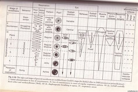 Stages Of Anesthesia Chart