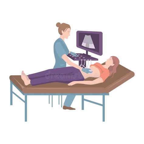 Ultrasound Examination Of The Abdominal Cavity Of A Woman Stock Vector