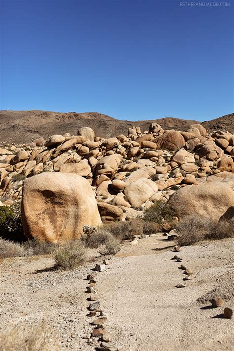 Joshua Tree National Park Arch Rock Nature Trail