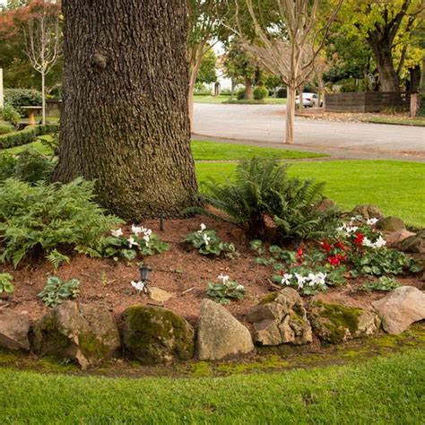 Landscaping Around Trees On A Hill Rheba Kraft