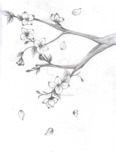 Japanese Cherry Blossom Tree Drawing At Getdrawings Free Download