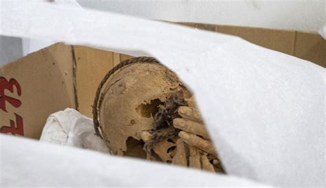 foto mumi berusia lebih dari 800 tahun dengan tubuh terikat ditemukan di peru global