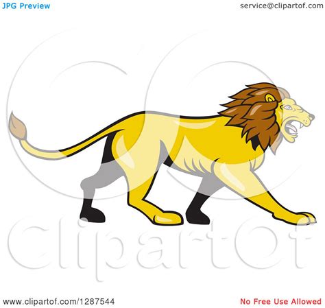 Clipart Of A Cartoon Roaring Male Lion Walking In Profile Royalty