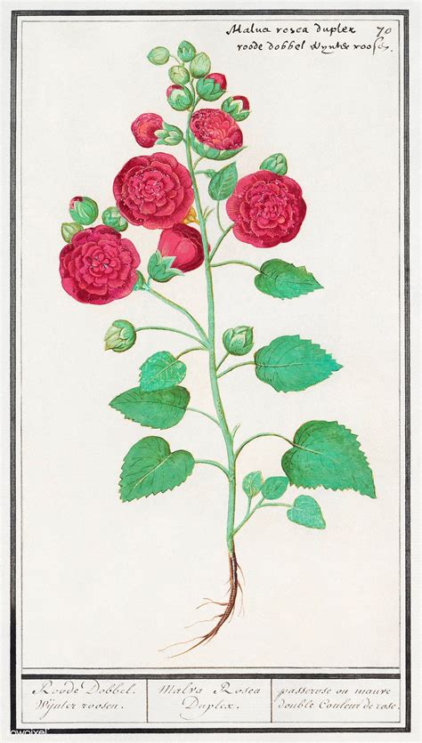 A Drawing Of Red Flowers With Green Leaves