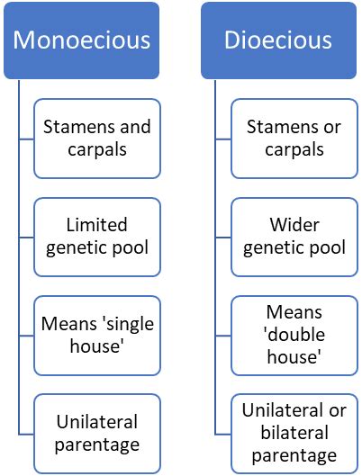 Difference Between Monoecious And Dioecious