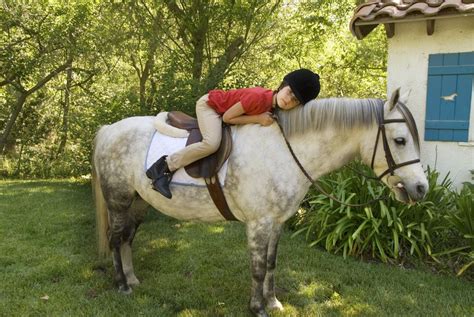 Popular Horse And Pony Breeds For Children