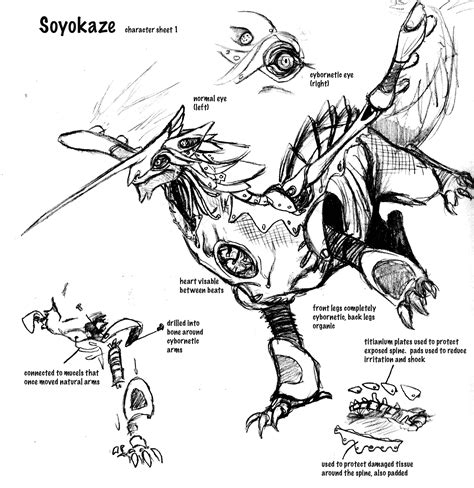 Soyokaze Character Sheet 1 By Dieuchien On Deviantart