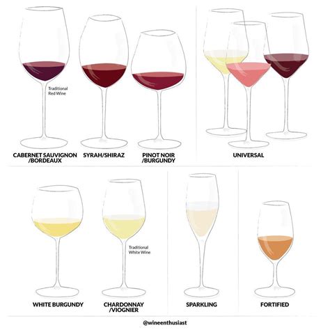 A Guide To Wine Glasses R Coolguides