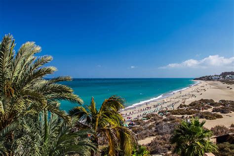 The Best Beaches In Fuerteventura In Go Fuerteventura