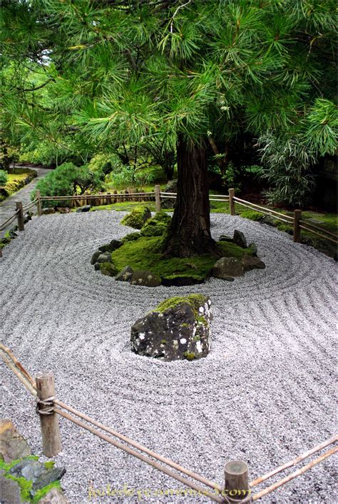 See more ideas about zen garden, zen, mini zen garden. Zen Garden - Plant & Nature Photos - Eric Cousineau's Photoblog