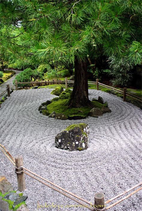 The cherry tree changes throughout the growing season, illustrating the transient nature of life, while the stone wall signifies endurance or permanence. Zen Garden - Plant & Nature Photos - Eric Cousineau's Photoblog