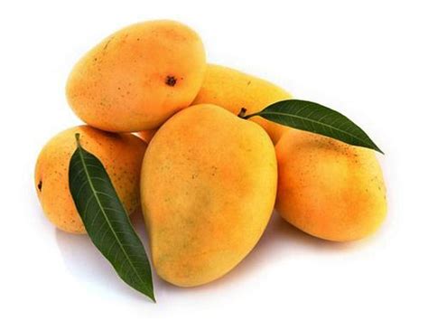 Mango Hapus Medium Dry Fruits Mandy