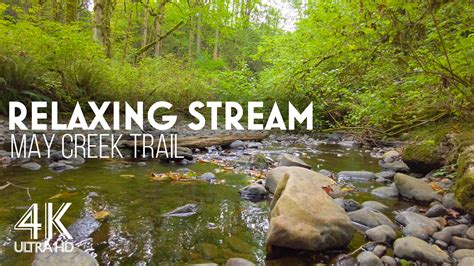 8 Hrs Calming Sounds Of Forest Stream May Creek Proartinc