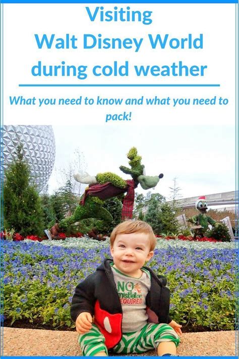 Visiting Walt Disney World During Cold Weather What You Need To Know