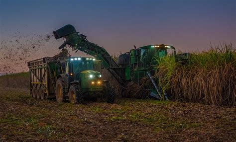 Uso Da Cana-de-açúcar Como Fonte De Energia Vantagens E Desvantagens