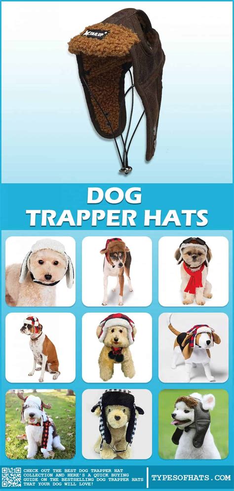 Dog Trapper Hats 10 Best Dog Trapper Hats Puppy Hats
