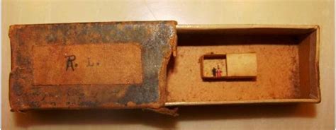 Fleas lice difference photo / how to kill fleas on bedding ...