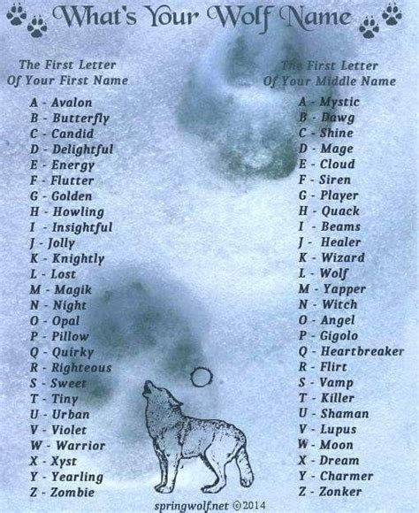New Names Cool Names Funny Name Generator Wolf Name Generator Name