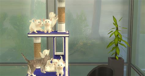 My Sims 4 Blog Pet Stories Reward Cat Condo By Biguglyhag
