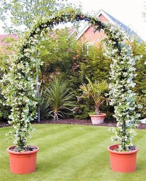 The Most Popular Garden Decoration With Jasmine The Most Popular Cl
