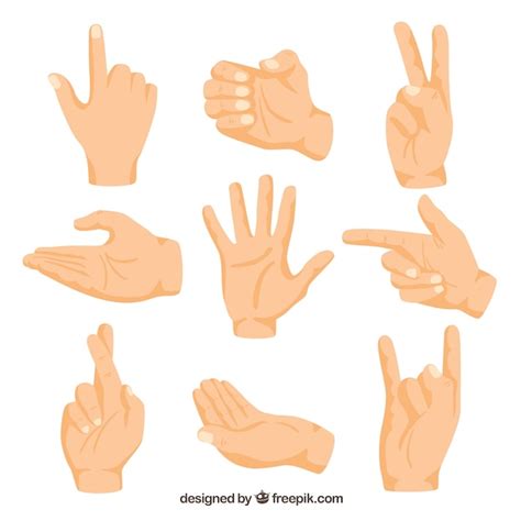 Free Vector Hands Collection With Different Poses In Hand Drawn Style