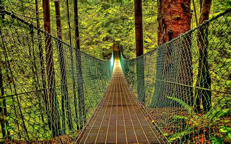 Hd Wallpaper Bridge Of Destiny Gray Hanging Bridge Forest Journey