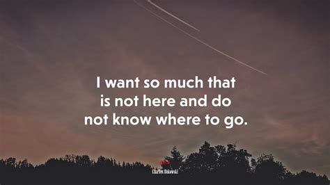 I Want So Much That Is Not Here And Do Not Know Where To Go