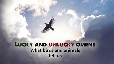Spiritual Lucky And Unlucky Omens What Birds And Animals Tell Us