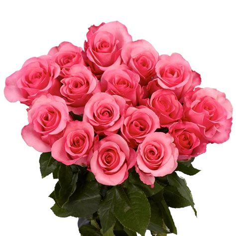 Globalrose 100 Pink Roses Fresh Flower Delivery Pink Roses