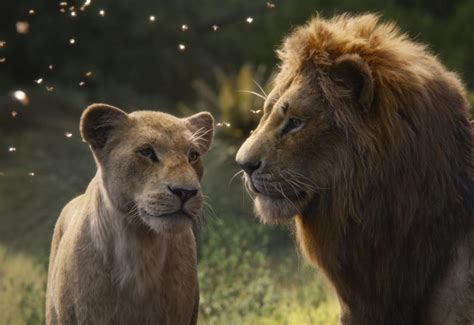 The lion king is a 2019 american musical drama film directed and produced by jon favreau, written by jeff nathanson, and produced by walt disney pictures. Disney The Lion King Movie Review | In Cinemas 17 Jul 2019 ...