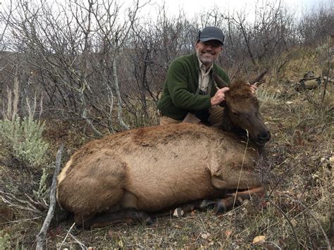 Utah Guided Cow Elk Hunt