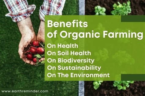 Benefits Of Organic Farming Benefits Of Organic Farming Organic