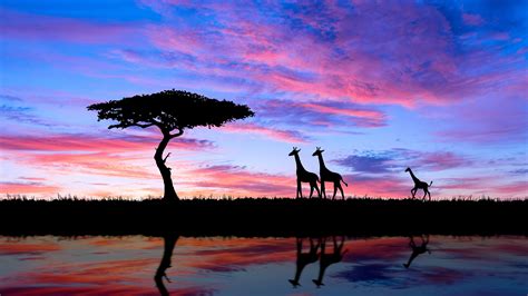 African Sunset Wallpapers Top Free African Sunset Backgrounds