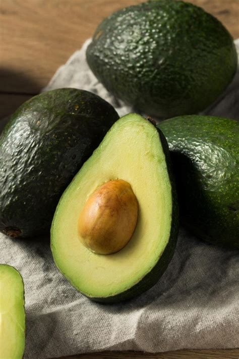 17 Types Of Avocados Different Varieties Insanely Good
