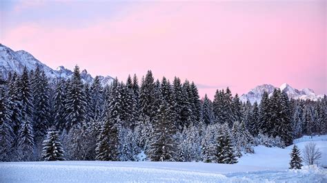 Mountains Trees Pink Snow 4k Hd Wallpapers Hd Wallpapers Id 32190