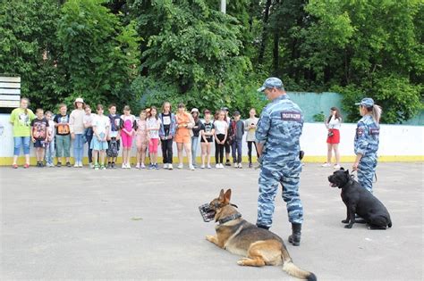 Полицейские собаки Серпухова пришли в гости к детям