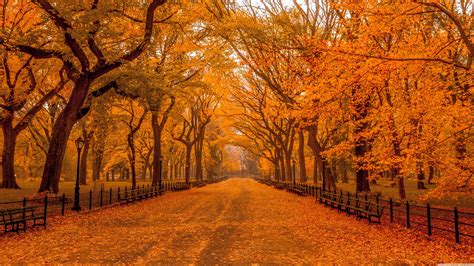 Fall Scenery For Wallpaper Photos Cantik