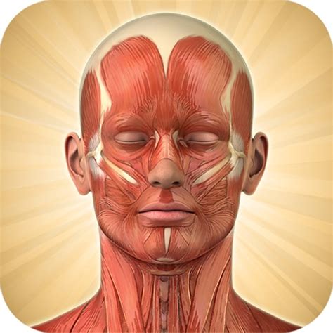 Know Your Body Lite Edition Iphone And Ipad Game Reviews