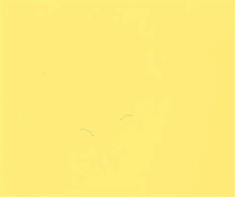 20 Lemon Yellow Wall Colour Combination