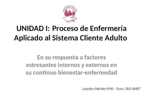 PPT UNIDAD I Proceso de Enfermería Aplicado al Sistema Cliente Adulto Lourdes Méndez PhD