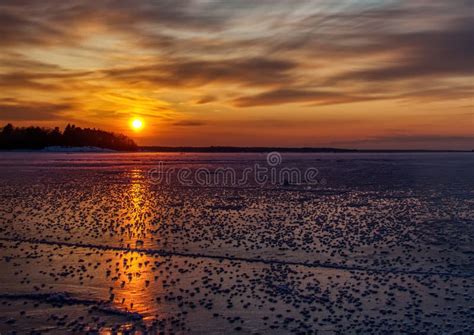 Pictures Of A Sunset On The Frozen Baltic Sea Near The Finnish Town Of