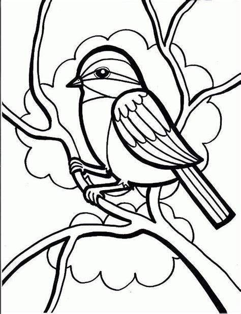 We did not find results for: 8+ Bird Coloring Pages - JPG, AI Illustrator Download ...