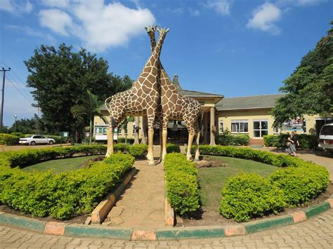 Uganda Wildlife Conservation Education Centre Entebbe All You Need