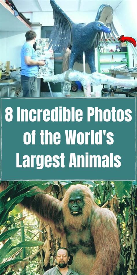8 Incredible Photos Of The Worlds Largest Animals Large Animals Big